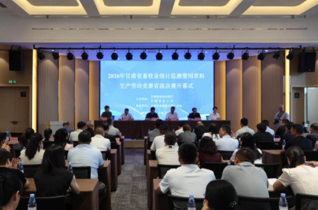 以赛促学展风采 匠心竞技获佳绩