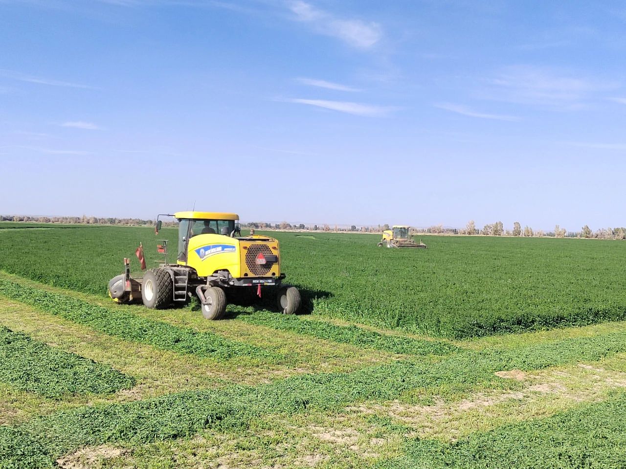 【“三抓三促”进行时】金塔盛地草业公司扎实推进头茬苜蓿开镰收获工作